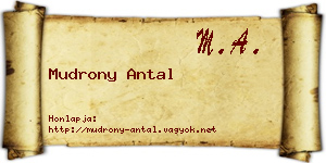 Mudrony Antal névjegykártya