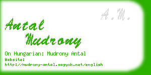 antal mudrony business card